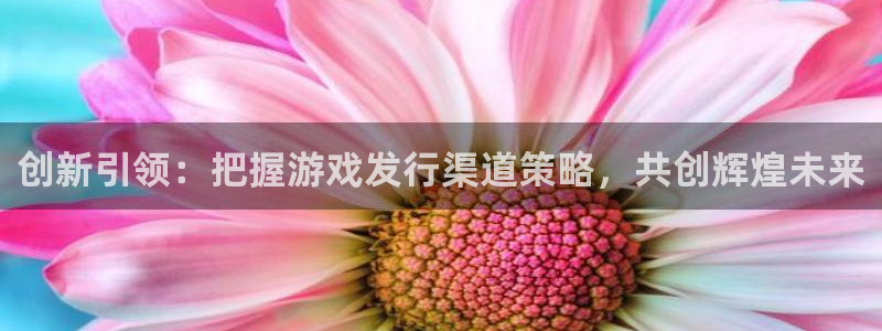 ag街机环境科技有限公司：创新引领：把握游戏发行渠道策略，共创辉煌未来