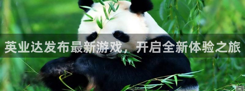 ag街机官网下载分分彩