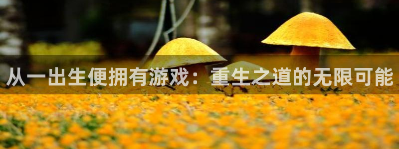 ag街机子酒业