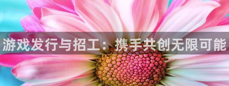 广州ag街机运动服：游戏发行与招工：携手共创无限可能