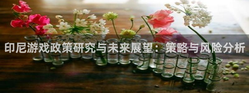 ag街机官网注册平台官网登录：印尼游戏政策研究与未来展望：策略与风险分析