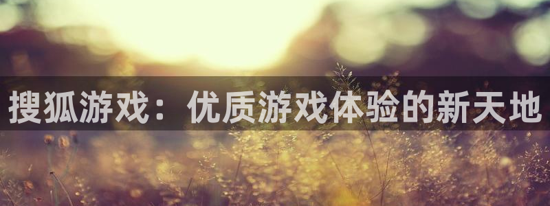 ag街机子出版社董事长：搜狐游戏：优质游戏体验的新天地