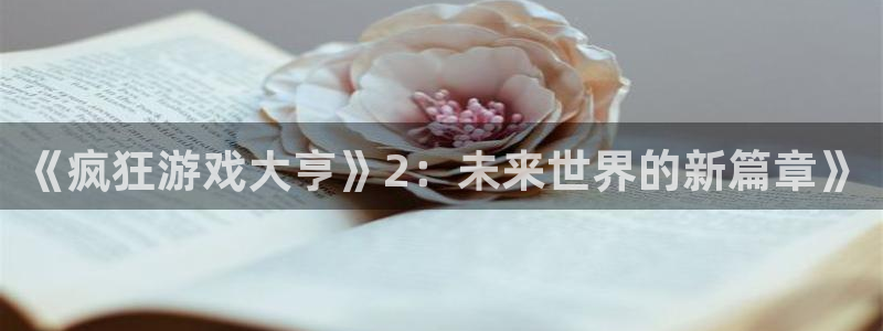 ag街机官网登录注册账号是什么样的：《疯狂游戏大亨》2：未来世界的新篇章》
