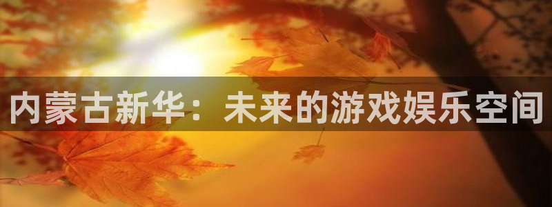 ag街机子文化创意加好友：内蒙古新华：未来的游戏娱乐空间