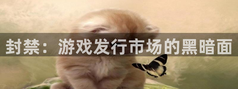ag街机服装分店有几家