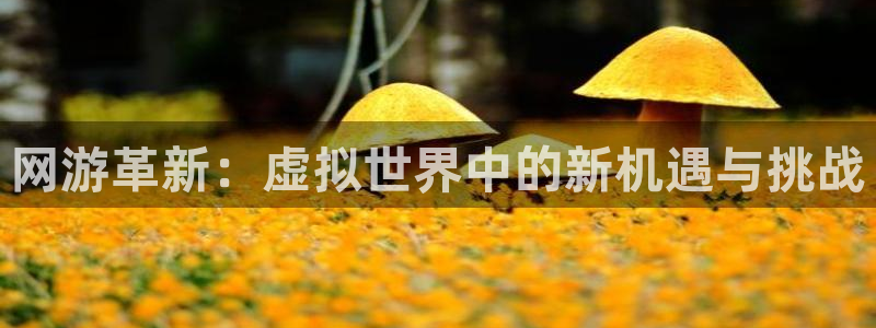 ag街机官网分红：网游革新：虚拟世界中的新机遇与挑战