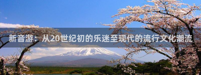 ag街机官网客服服务怎么样：新音游：从20世纪初的乐迷至现代的流行文化潮流