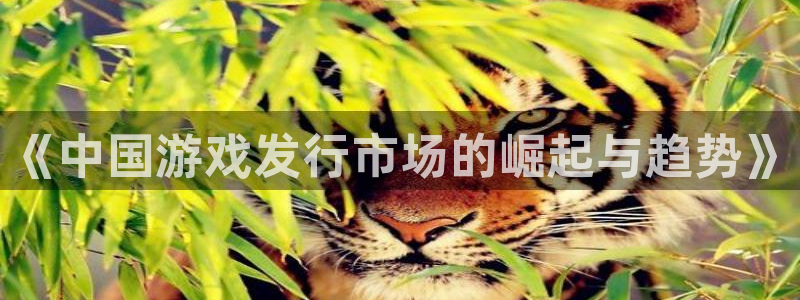 陕西ag街机子文化创意干啥的：《中国游戏发行市场的崛起与趋势》