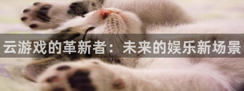 ag街机技术有限公司招聘