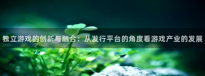ag街机电商怎么样：独立游戏的创新与融合：从发行平台的角度看游戏产业的发展