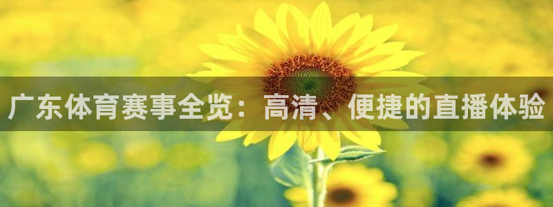 nba绿茵直播：广东体育赛事全览：高清、便捷的直播体验