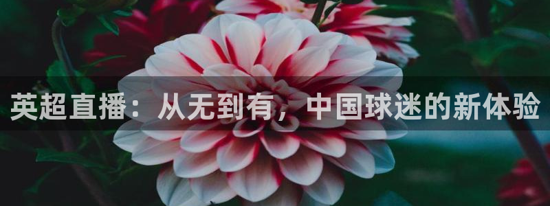 绿茵足球高清直播：英超直播：从无到有，中国球迷的新体验