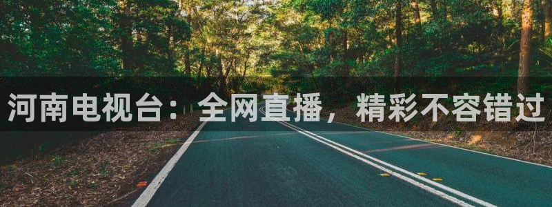 绿茵足球免费直播：河南电视台：全网直播，精彩不容错过