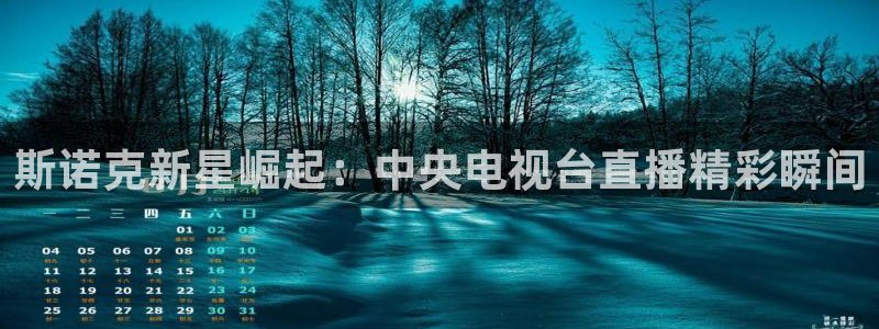 东京绿茵足球：斯诺克新星崛起：中央电视台直播精彩瞬间