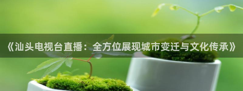 绿茵体育直播(无插件)：《汕头电视台直播：全方位展现城市变迁与文化传承》