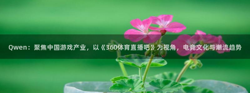 绿茵直播nba：Qwen：聚焦中国游戏产业，以《360体育直播吧》为视角，电竞文化与潮流趋势