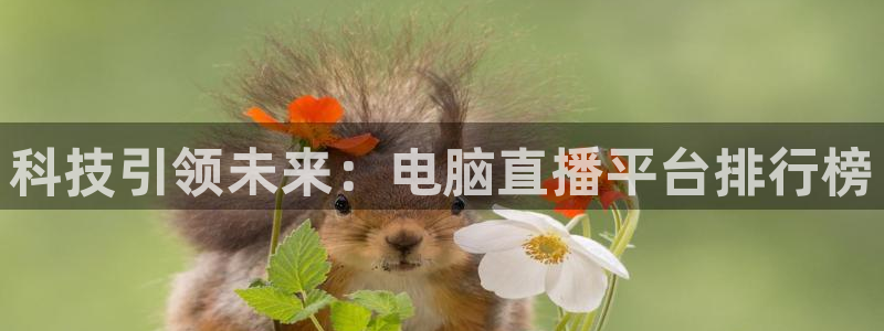 绿茵体育直播cba：科技引领未来：电脑直播平台排行榜