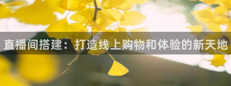 绿茵足球直播间：直播间搭建：打造线上购物和体验的新天地